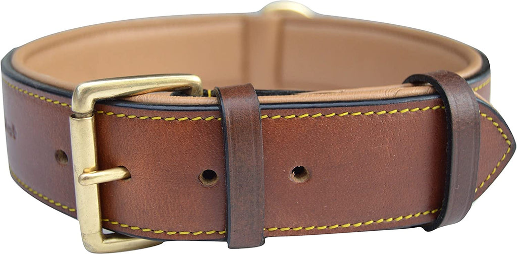 - Luxury Real Leather Padded Dog Collar